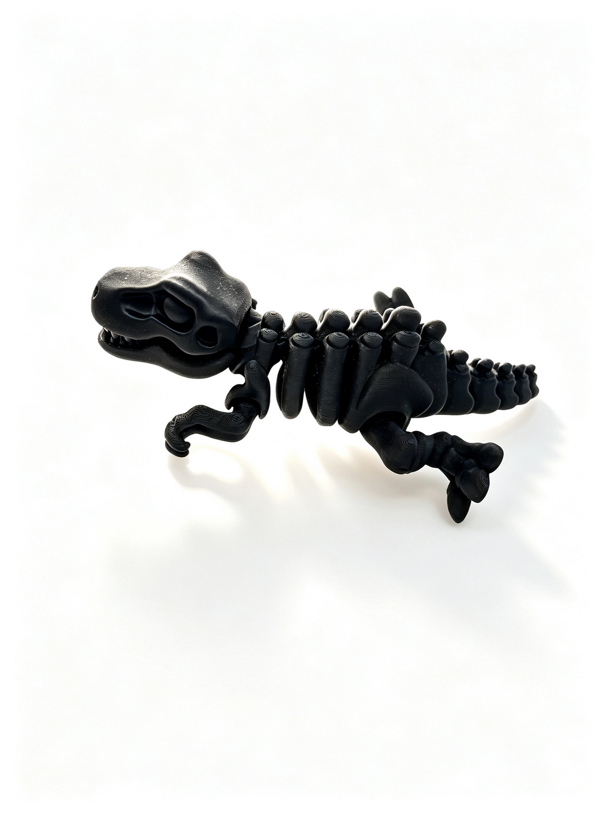 T-Rex skeleton from above, black 3D print showing the jointed spine, tail and legs