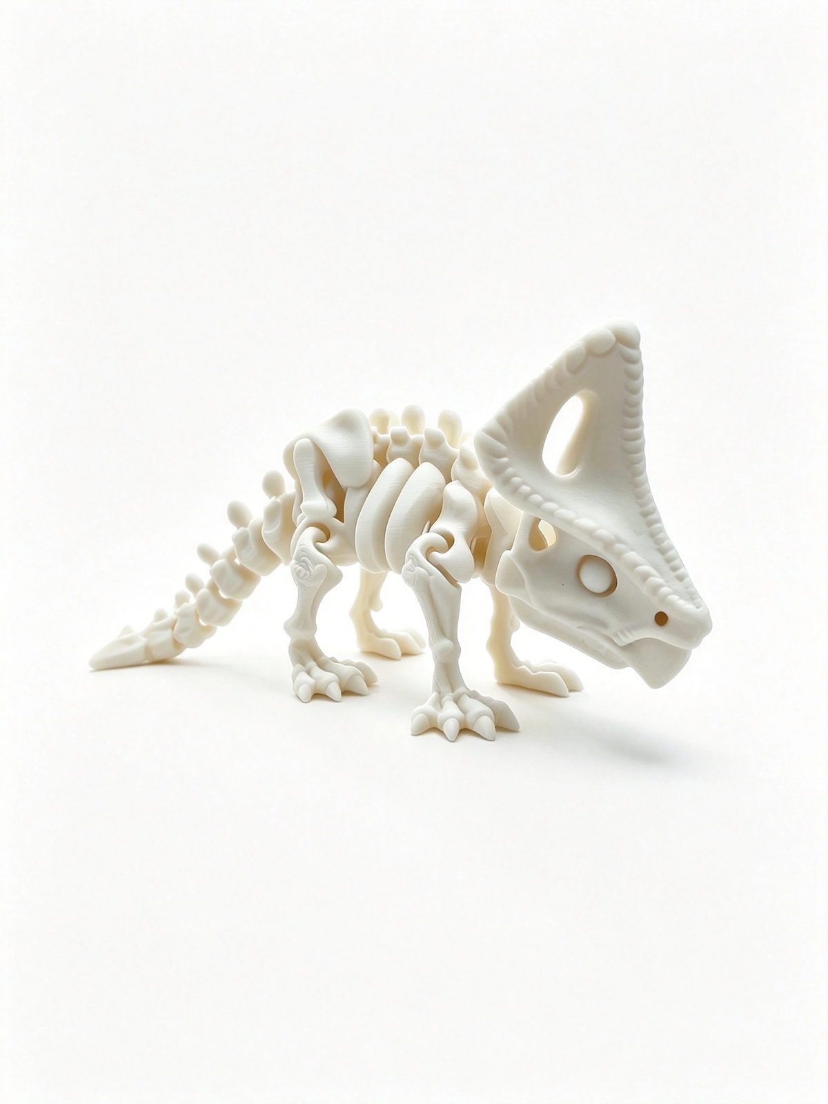 Triceratops skeleton side-on facing right, cream bones with the frill and tail fully extended